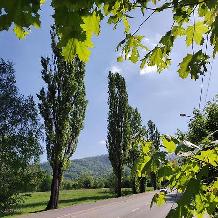 Enduro Apartament Przy Szyndzielni I Debowcu Bielsko-Biała Exteriör bild