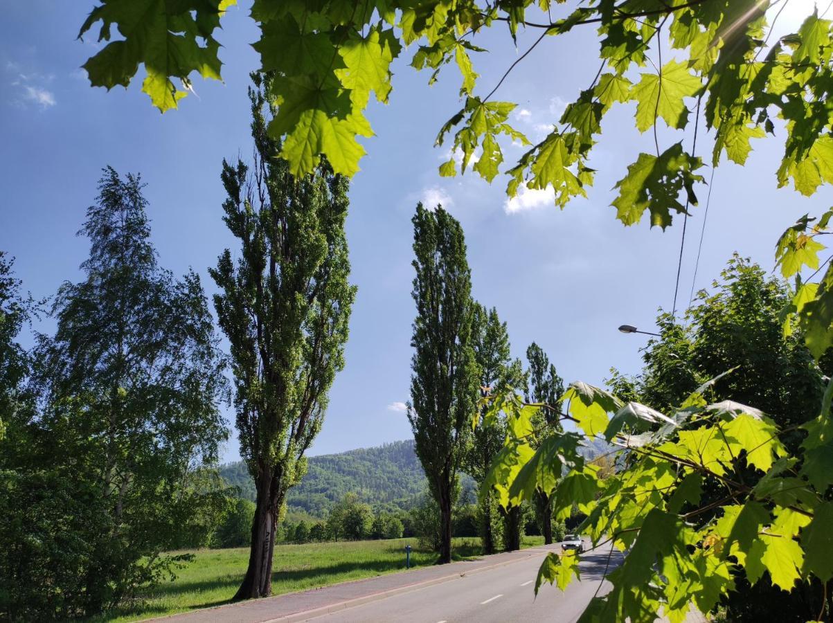 Enduro Apartament Przy Szyndzielni I Debowcu Bielsko-Biała Exteriör bild
